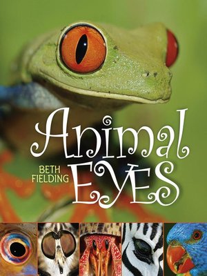 cover image of Animal Eyes